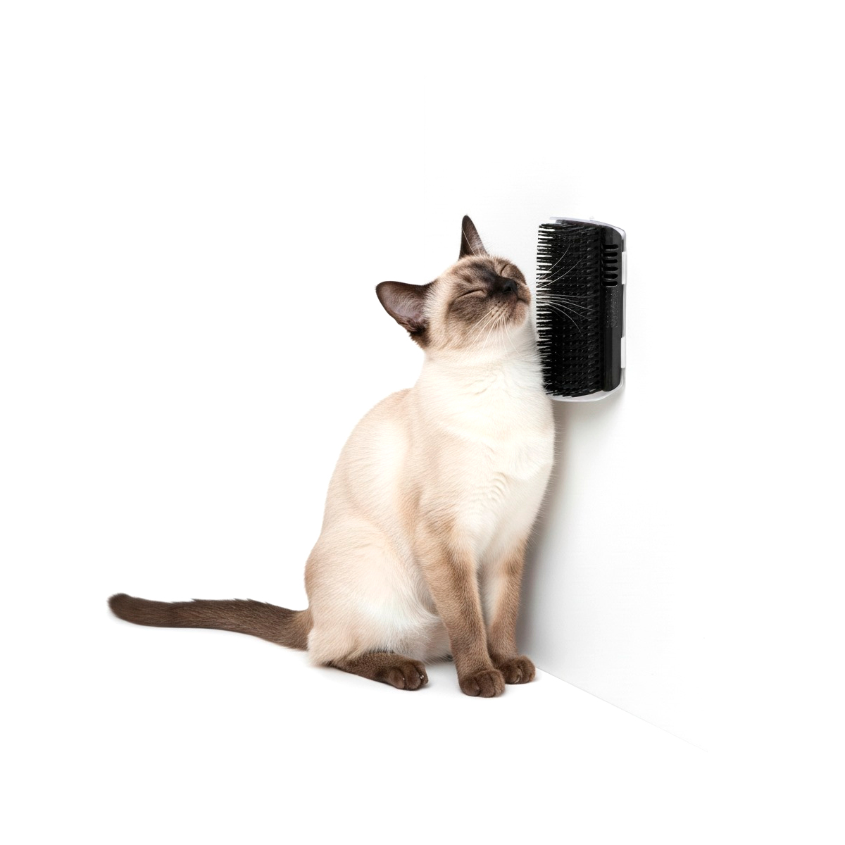 Escova Coçadinha Masssageador Para Gatos - Preto — foto 2