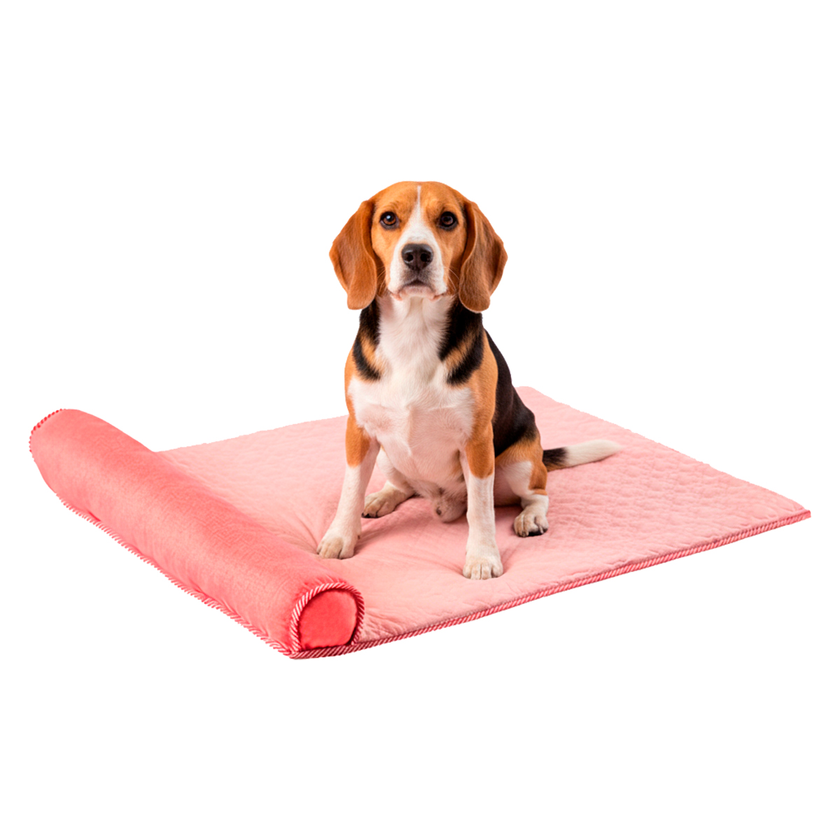 Cama Tapete Colchonete Refrescante Cães Gatos P 60x40 - Rosa — foto 8