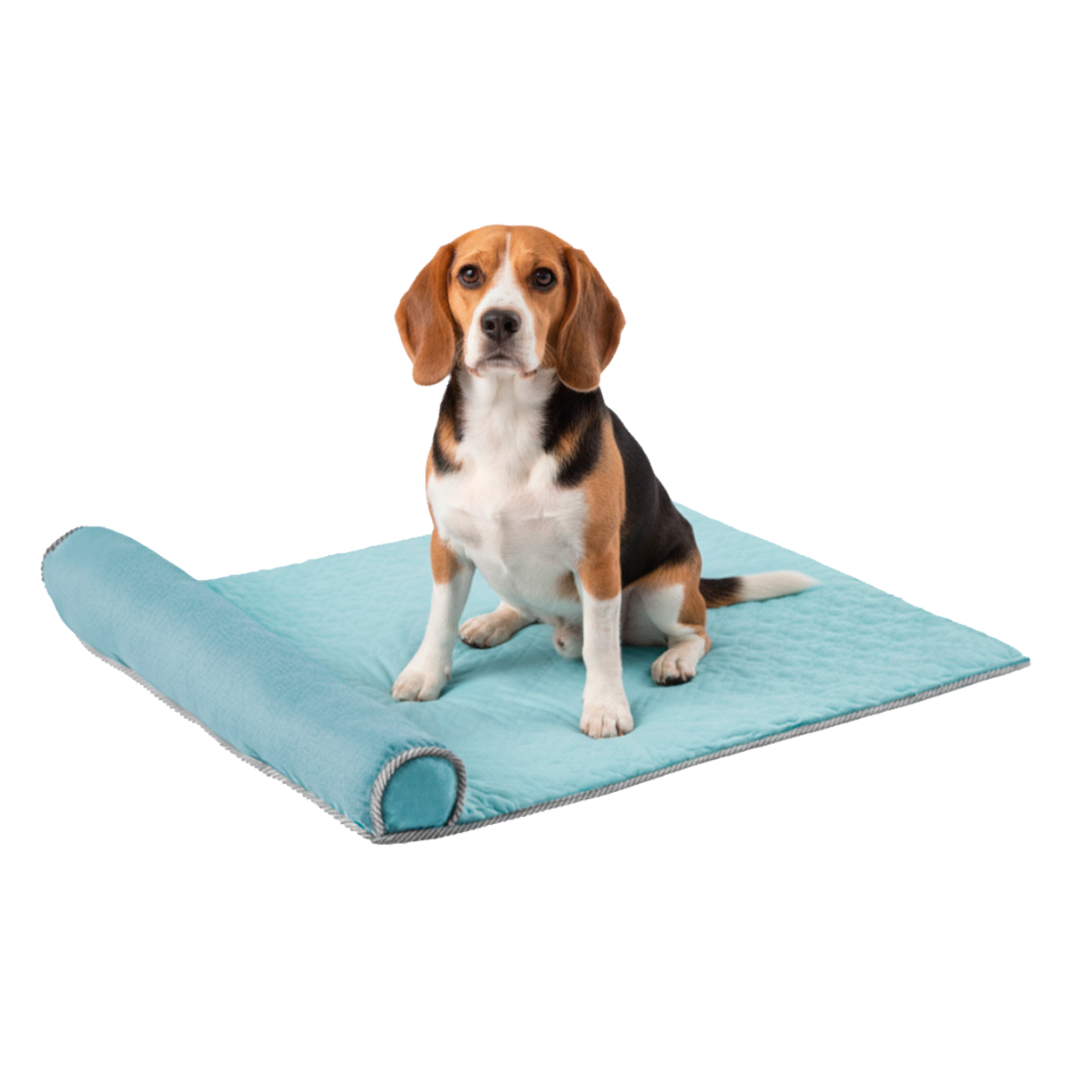 Cama Tapete Colchonete Refrescante Cães Gatos P 60x40 - Azul — foto 6