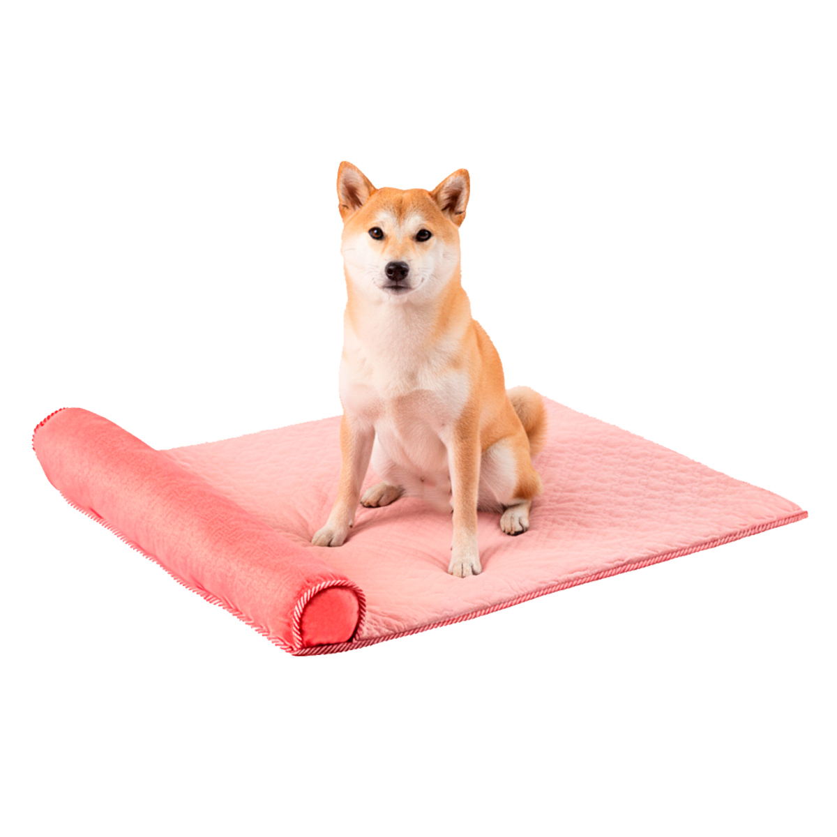 Cama Tapete Colchonete Refrescante Cães Gatos P 60x40 - Rosa — foto 5