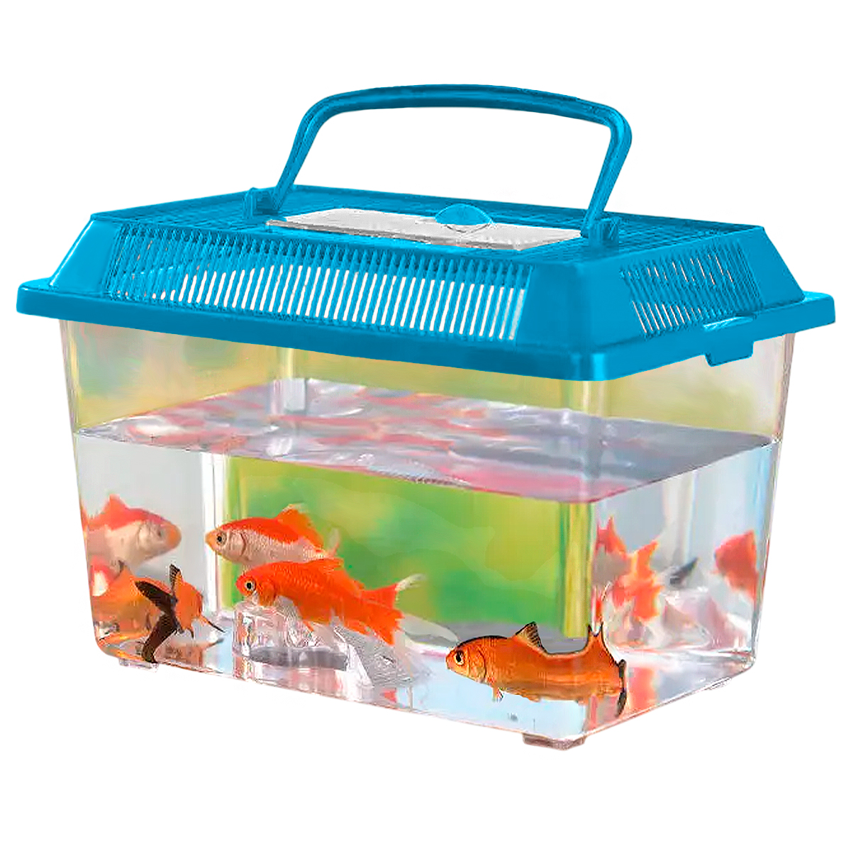 Aquário de Peixes Acrílico 2,5 litros medio - Azul