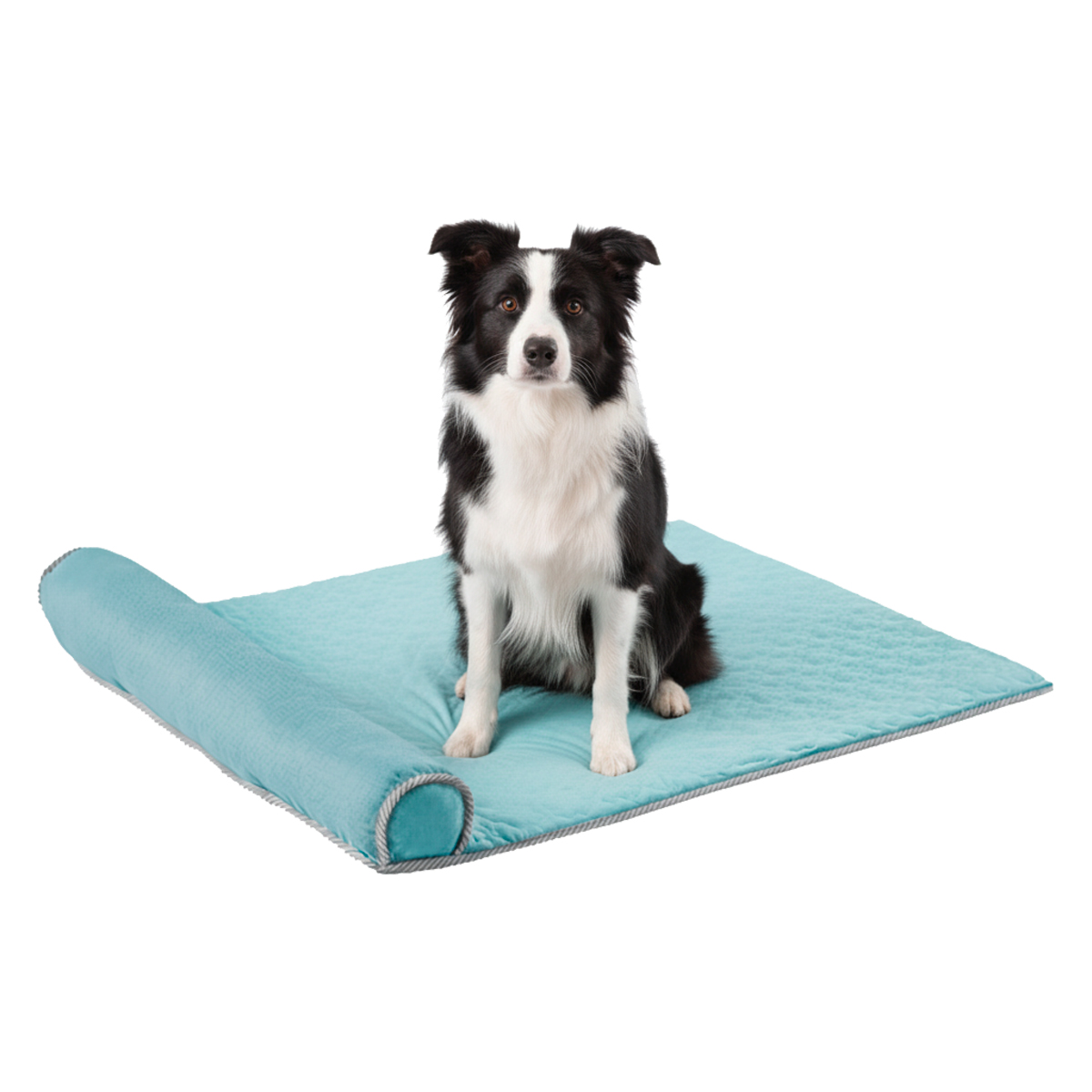 Cama Tapete Colchonete Refrescante Cães Gatos Grande  - Azul — foto 7