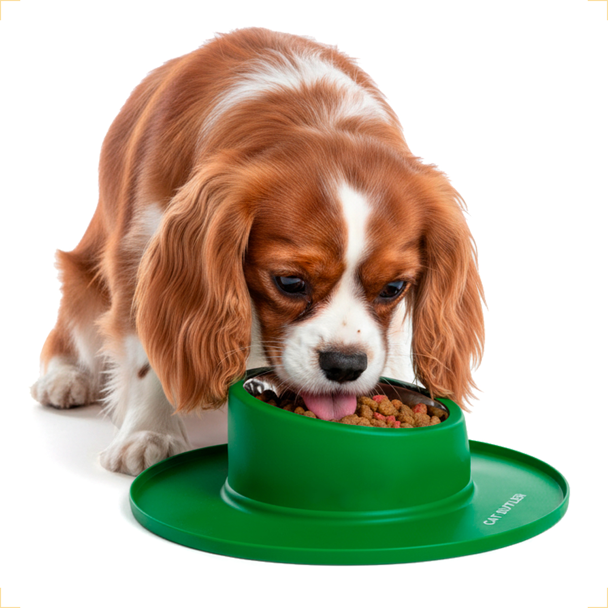 Comedouro bebedouro silicone inox antiderrapante - Verde — foto 2