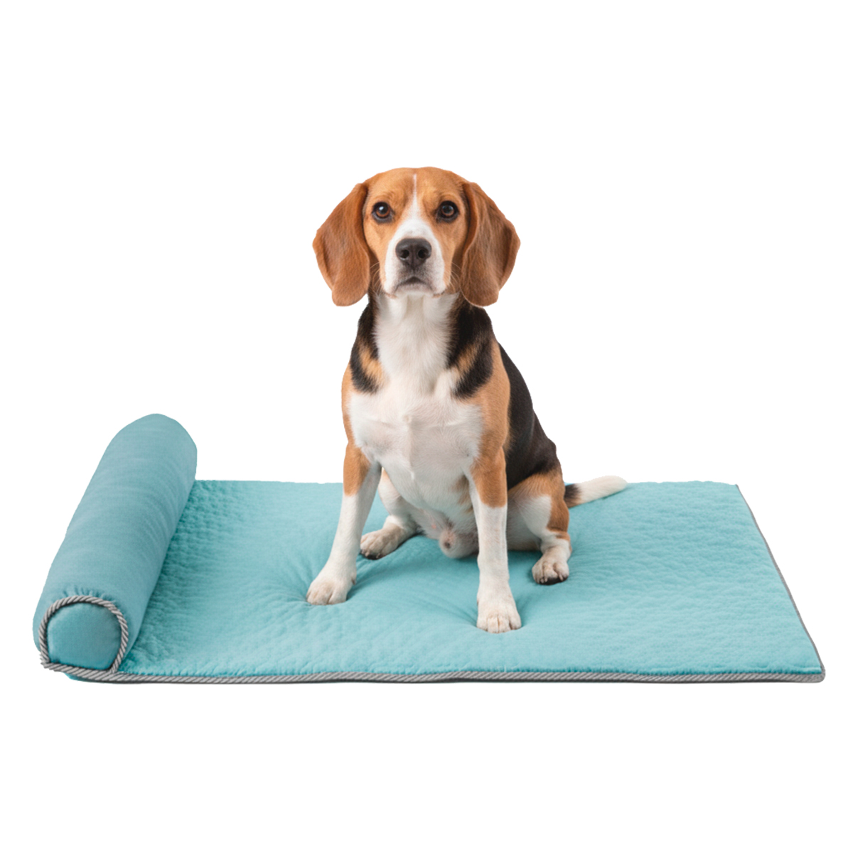 Cama Tapete Colchonete Refrescante Cães Gatos P 60x40 - Azul — foto 3