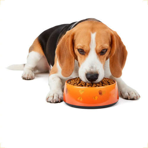 Comedouro Cachorro Pet Luxo  Antiderrapante AFP G 970ml - Laranja Cinza — foto 6