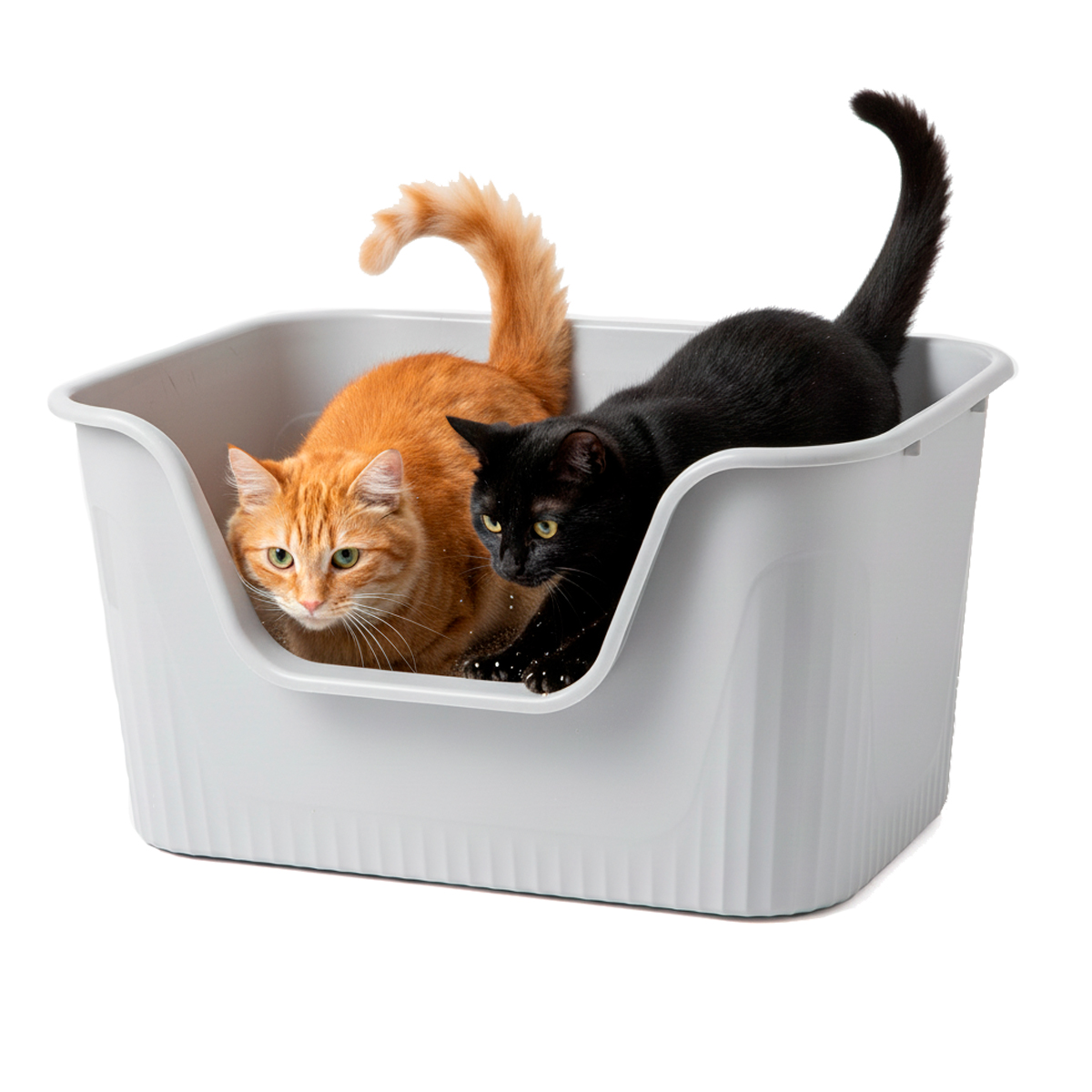 Caixa Areia Banheiro Gato Média 63x44x33 Animaux - Cinza — foto 2