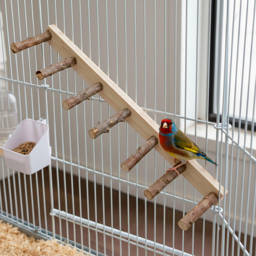 Brinquedo Poleiro Escadinha Para Calopsita E Pássaros — foto 5