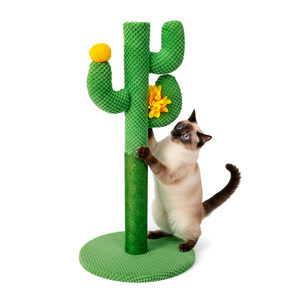 Arranhador Cacto para Gatos
