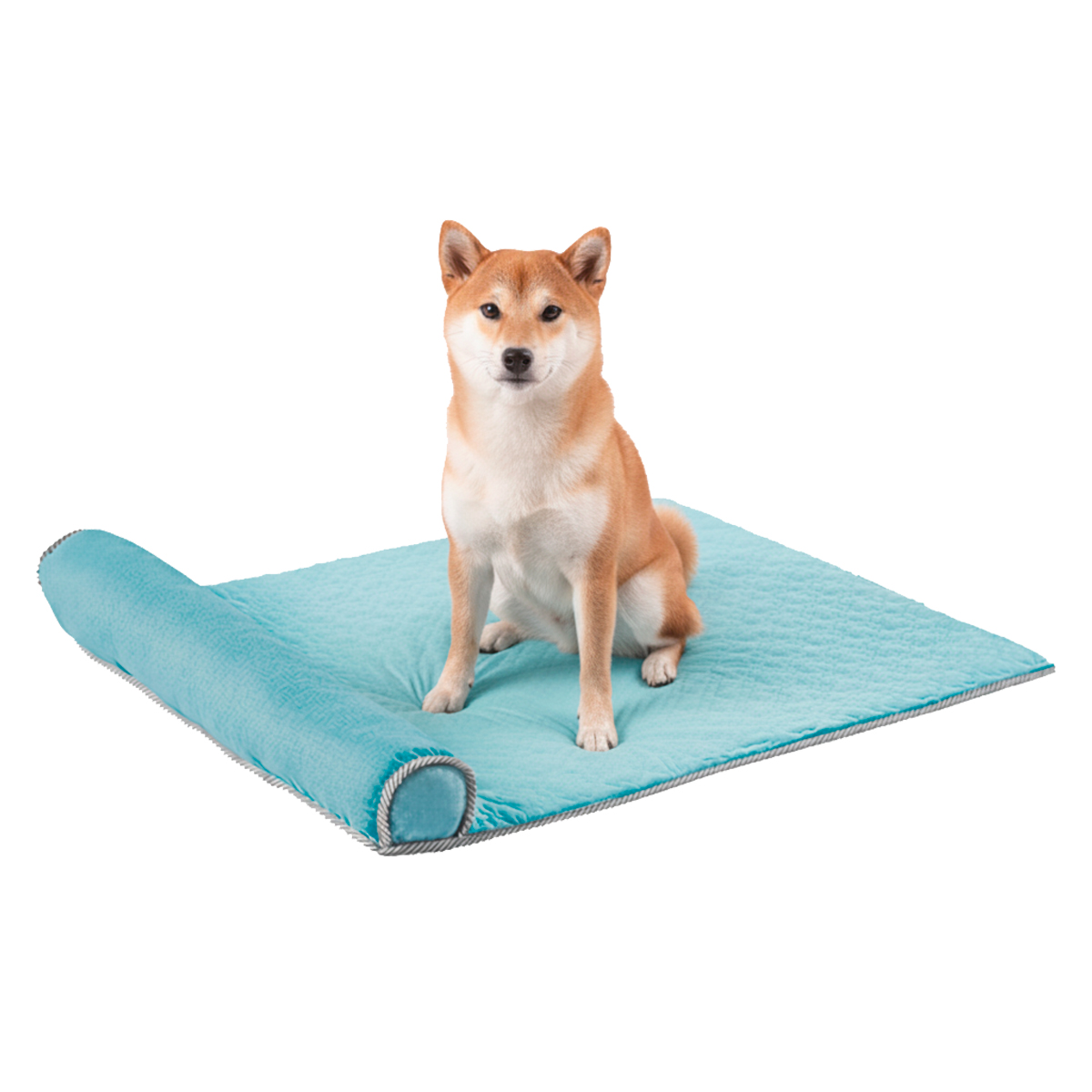Cama Tapete Colchonete Refrescante Cães Gatos P 60x40 - Azul — foto 8