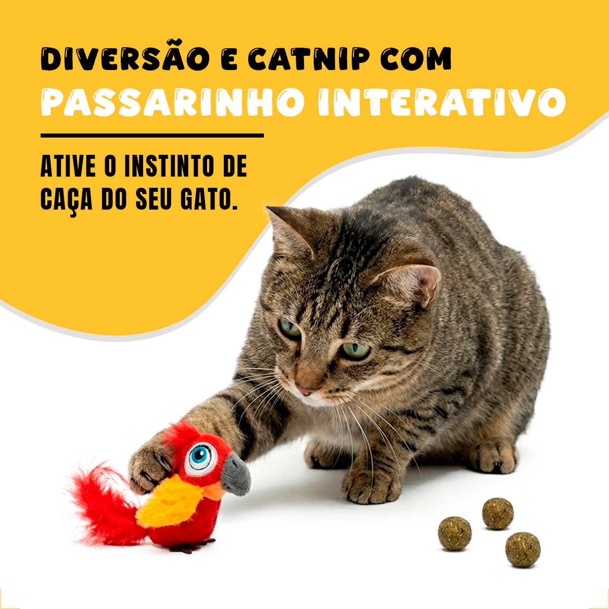 Brinquedo Interativo Som Bolinhas Catnip Aves/Passáros Gatos FOFOS - Tucano — foto 2
