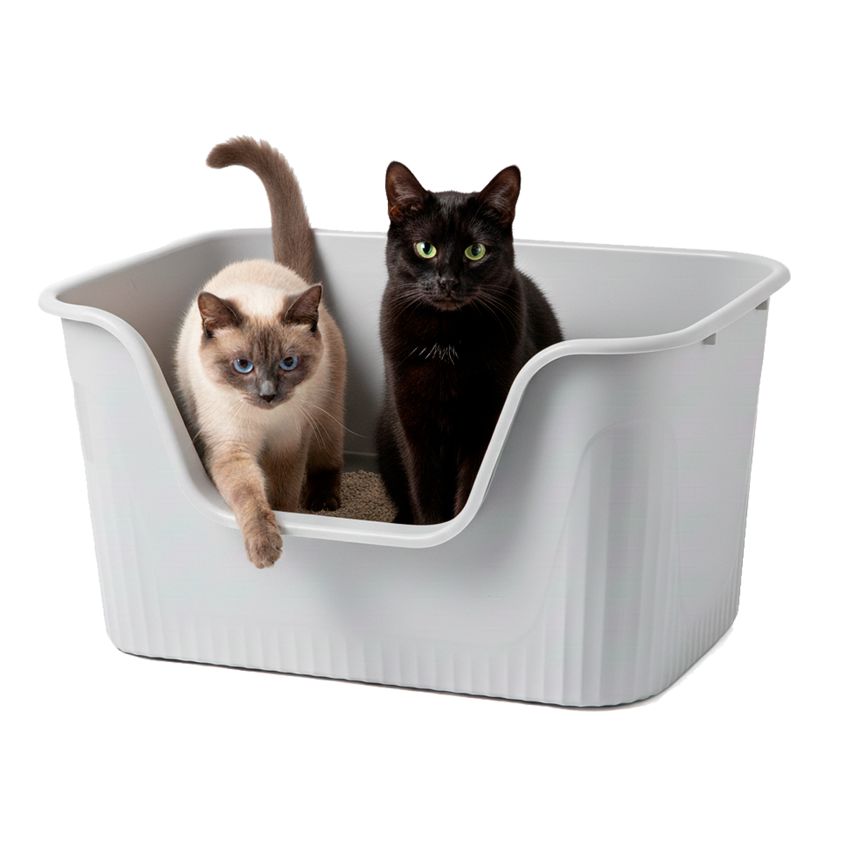 Caixa de Areia  Banheiro de Gato Grande 78x48x33 ANIMAUX - Cinza — foto 7
