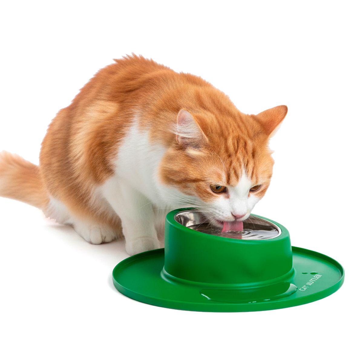 Comedouro bebedouro silicone inox antiderrapante - Verde — foto 6