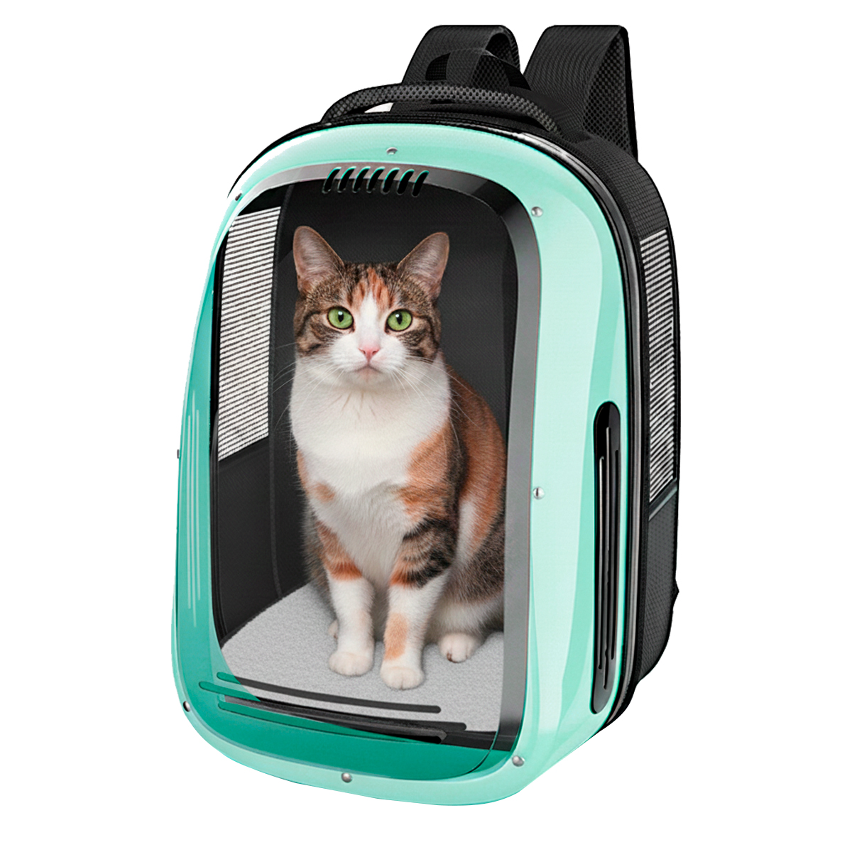 Mochila Pet Panorâmica Visor  Pet até 5 kg - Verde — foto 2