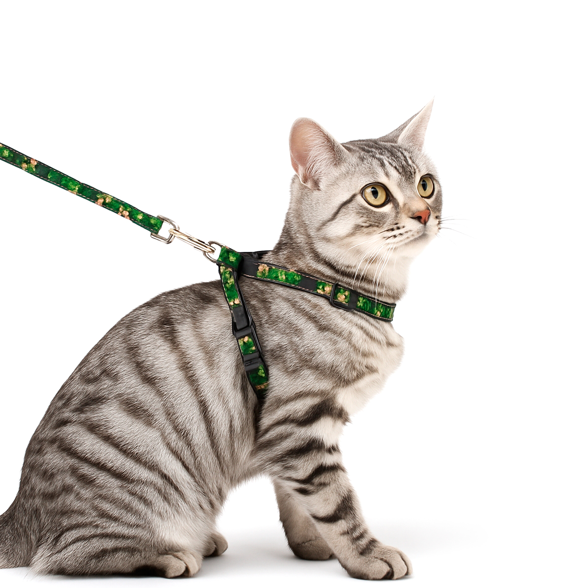 Coleira Peitoral Gatos Com Guia Conforto - Verde