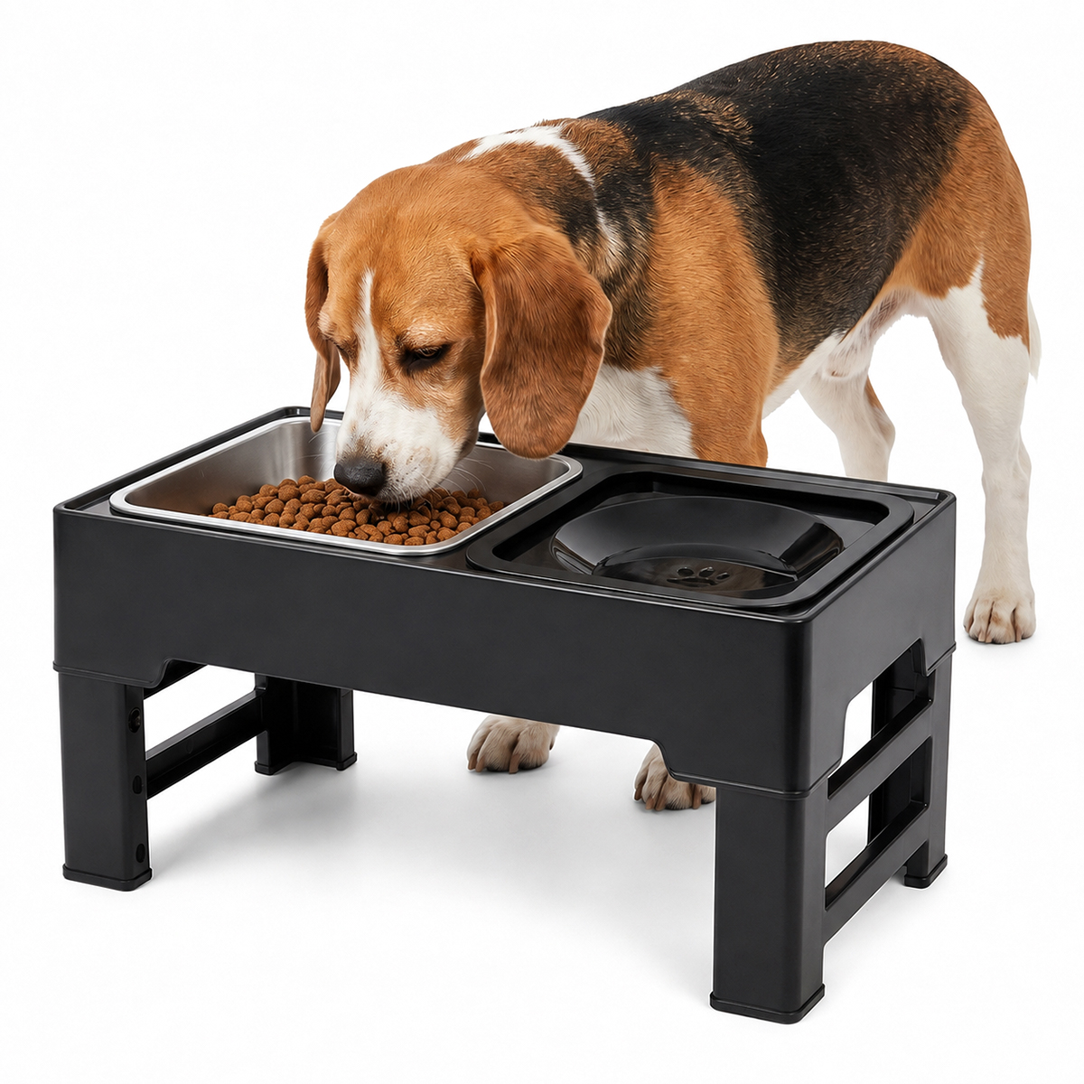 Comedouro e Bebedouro Elevado Cães e Gatos - Inox